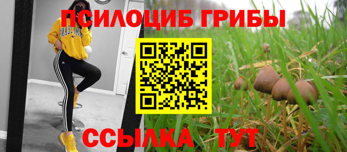 Галлюциногенные грибы Magic Shrooms Саянск